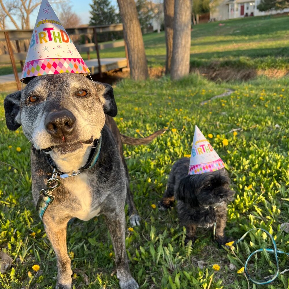 Meet your Posher, Tom